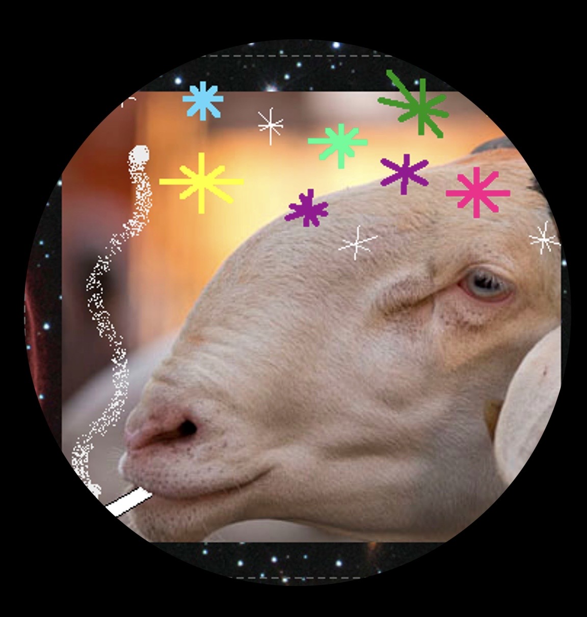 Synthebukken